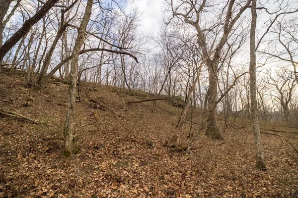 $220,000 | Tbd Rattlesnake Road, Polo, MO 64671