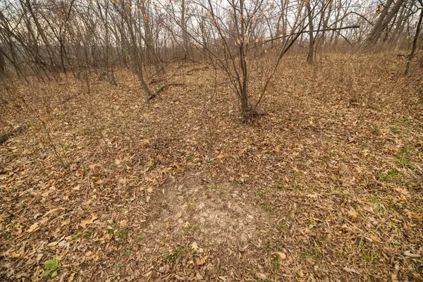 $220,000 | Tbd Rattlesnake Road, Polo, MO 64671