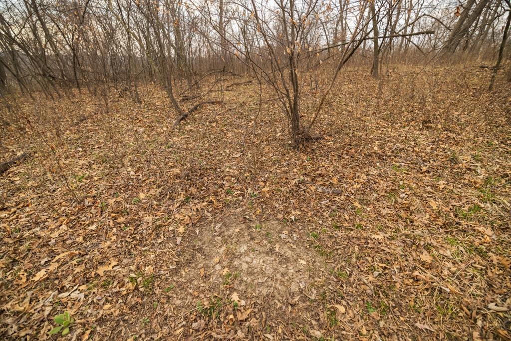 Tbd Rattlesnake Road Polo, MO 64671 - Photo 48 of 53