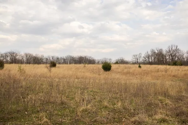 $220,000 | Tbd Rattlesnake Road, Polo, MO 64671