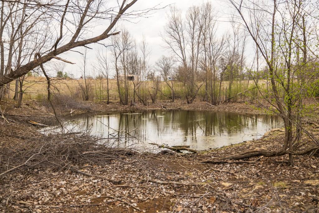 Tbd Rattlesnake Road Polo, MO 64671 - Photo 51 of 53