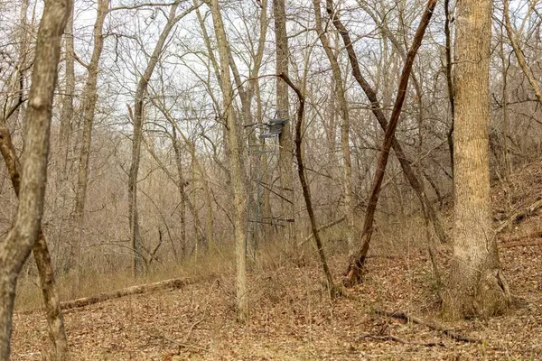 $220,000 | Tbd Rattlesnake Road, Polo, MO 64671