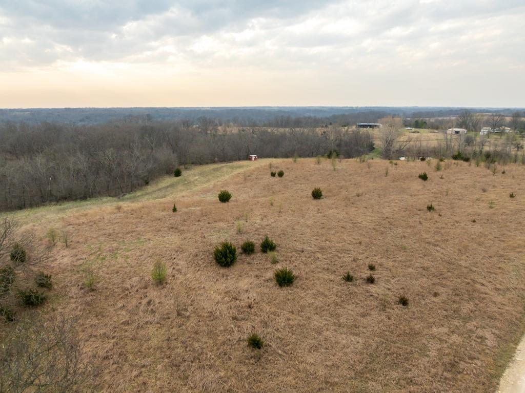 Tbd Rattlesnake Road Polo, MO 64671 - Photo 6 of 53