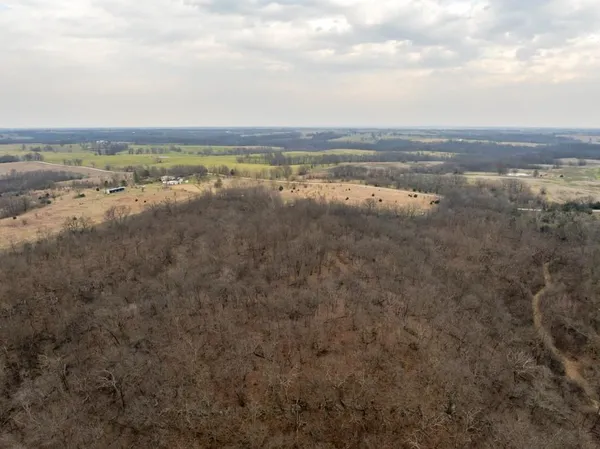 $220,000 | Tbd Rattlesnake Road, Polo, MO 64671