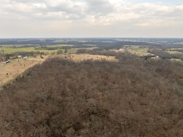 $220,000 | Tbd Rattlesnake Road, Polo, MO 64671