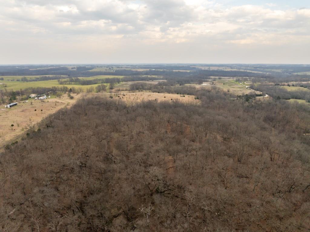 Tbd Rattlesnake Road Polo, MO 64671 - Photo 9 of 53