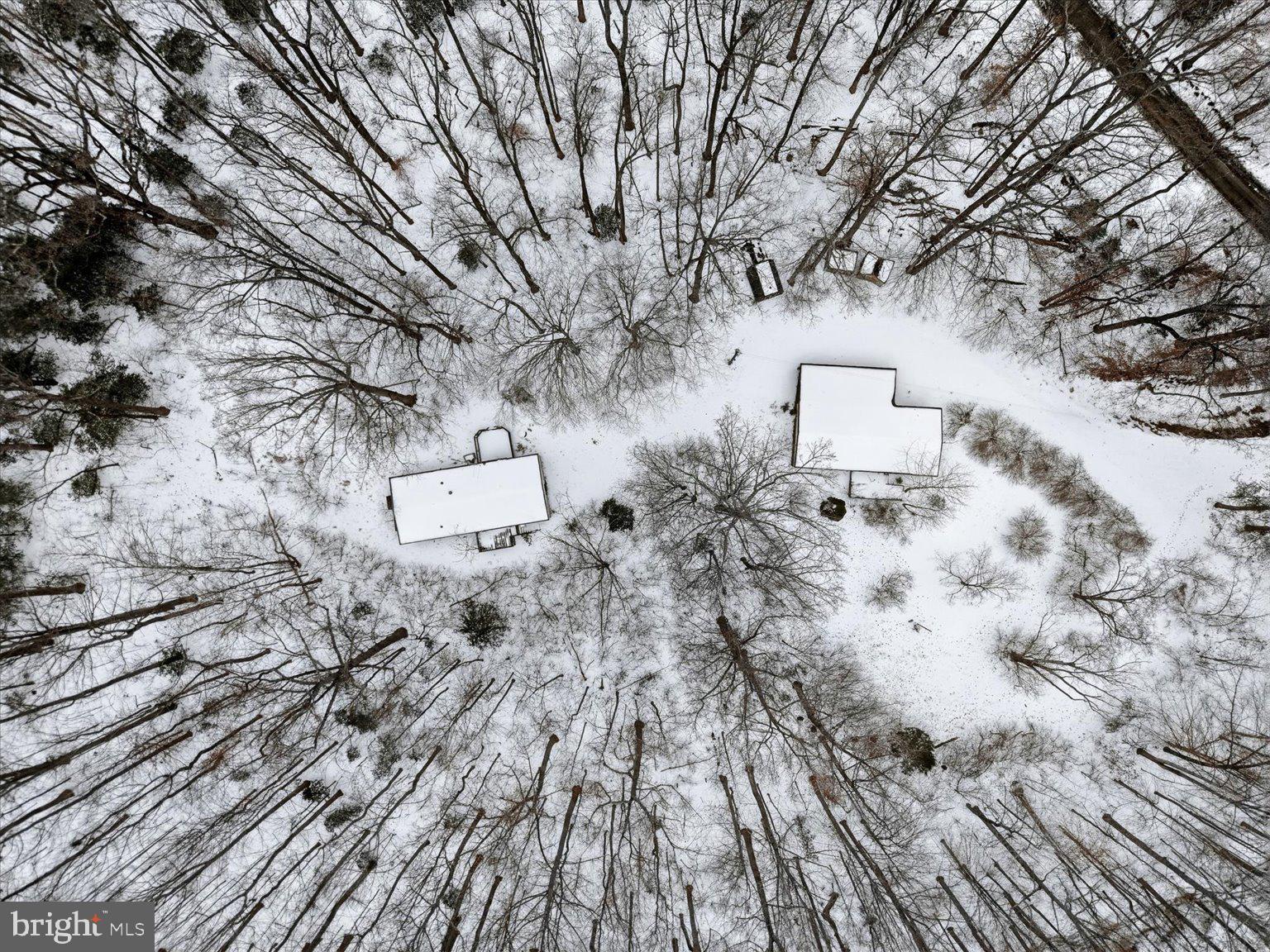 9358 Chapel Green Road King George, VA 22485 - Photo 8 of 10 a backyard of a house with lots of green space