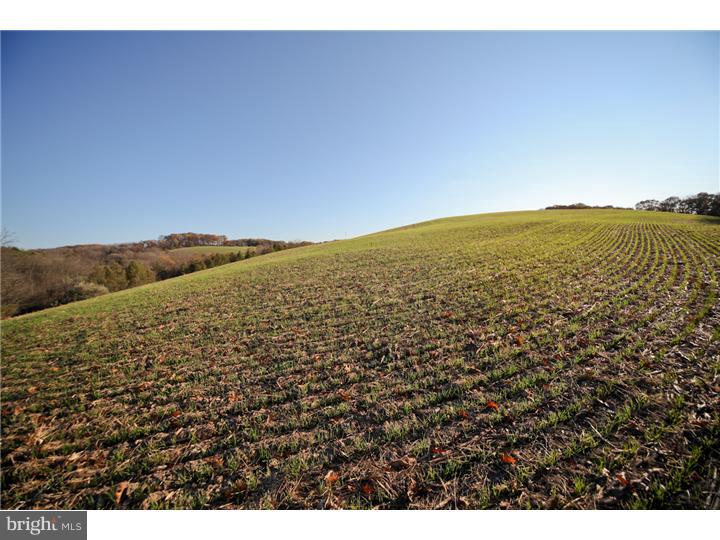 6687 Farrier Road Orefield, PA 18069 - Photo 1 of 4 Gallery Image 1