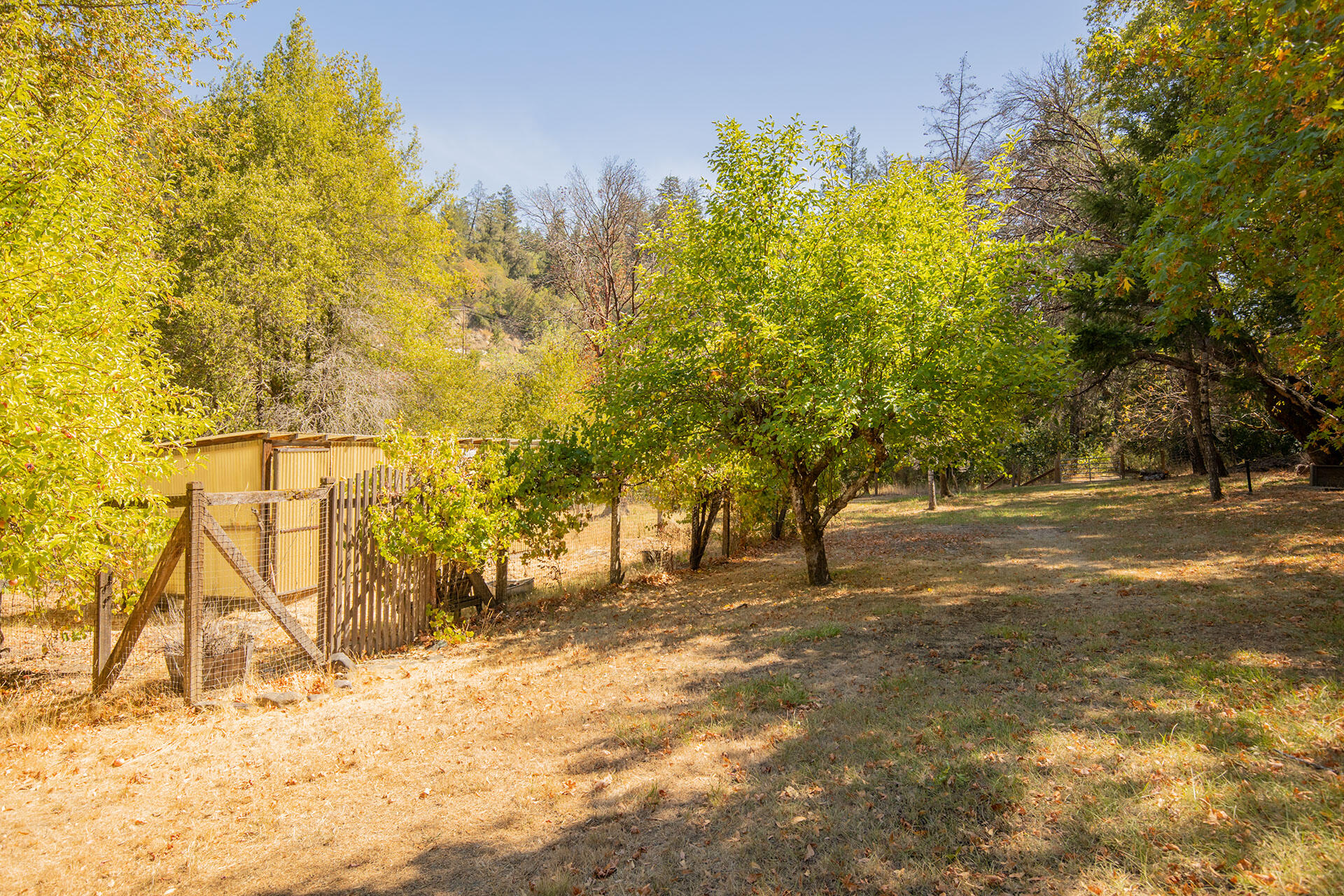 0 Bear Canyon Road Garberville, CA 95542 - Photo 70 of 107 SW__9673