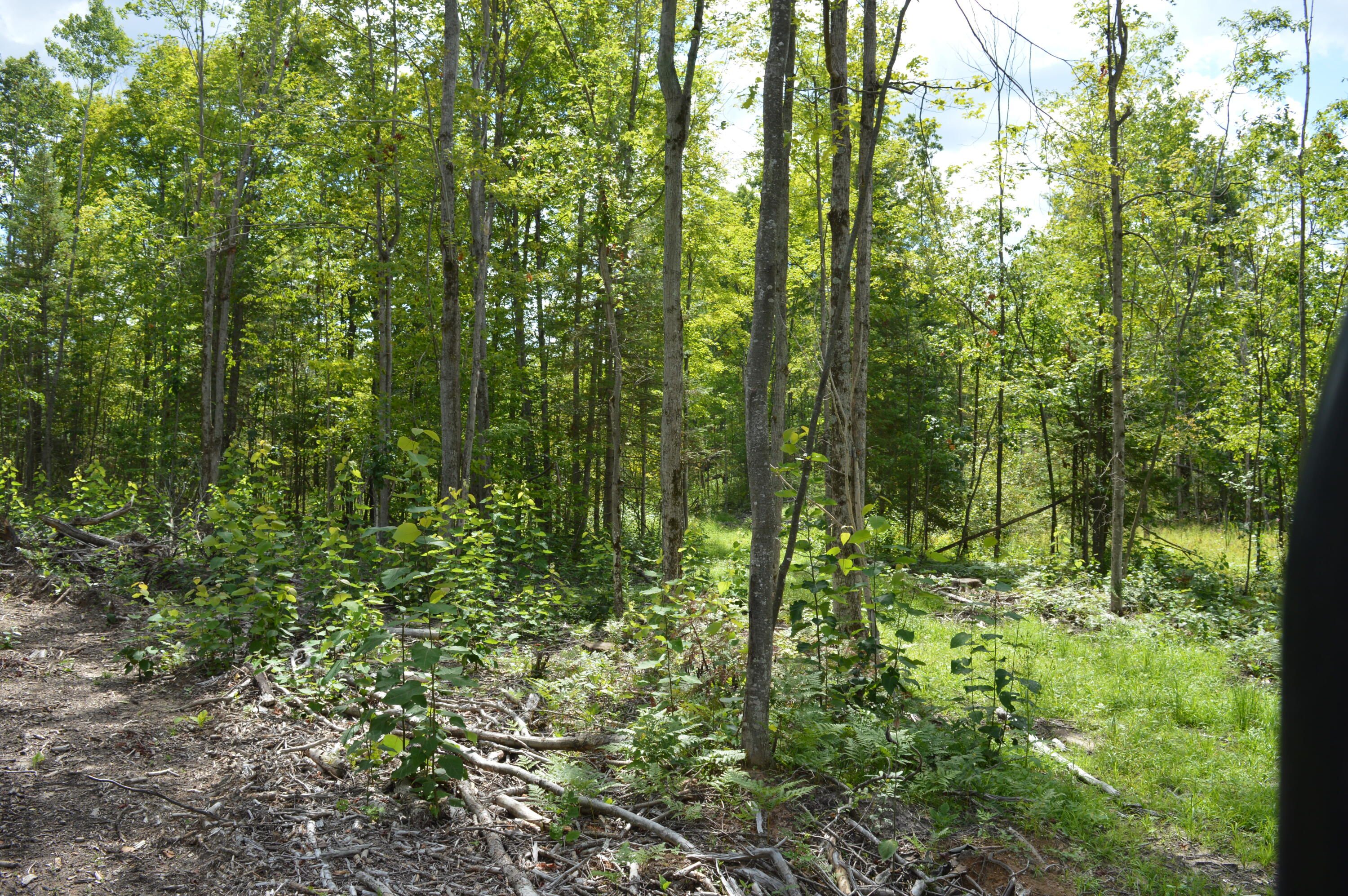 East County Line Road South Branch, MI 48761 - Photo 70 of 87 Gallery Image 70