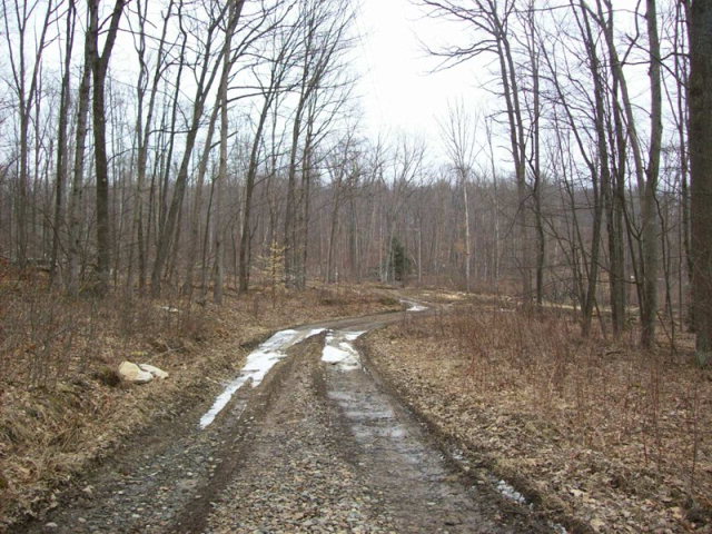 Hill Road Tionesta, PA 16353 - Photo 1 of 1