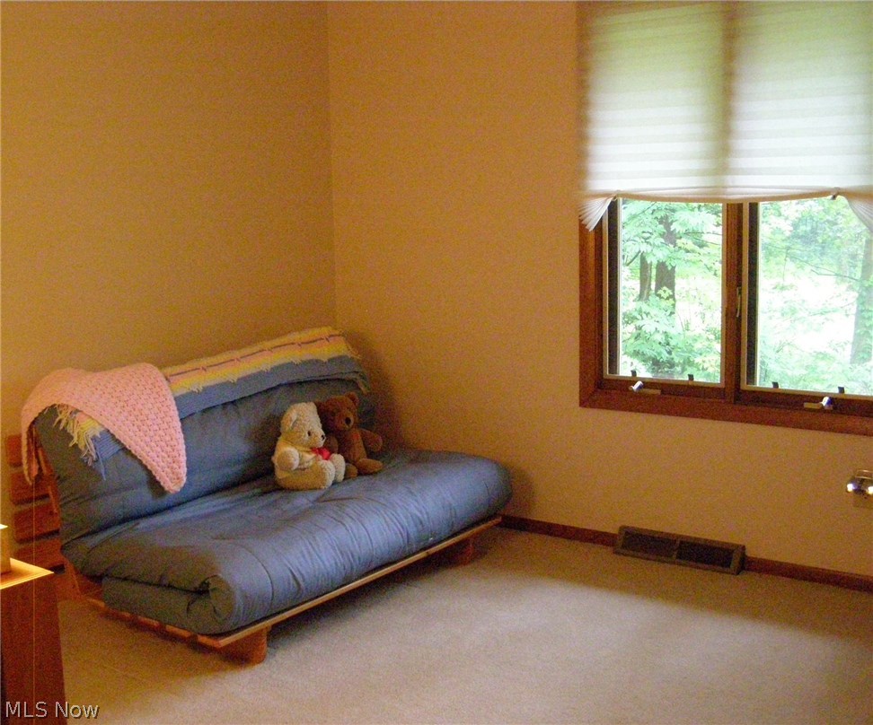11399 County Line Road Chesterland, OH 44026 - Photo 10 of 24 Bedroom 3 on upper level