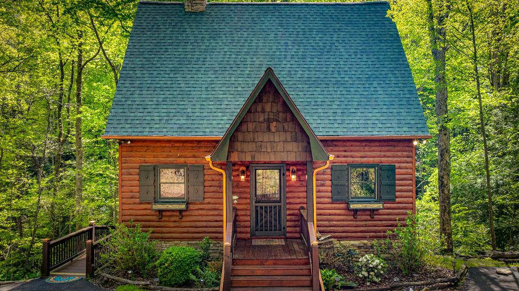 180 Down Under Road Blue Ridge, GA 30513 - Photo 12 of 50 Gallery Image 12