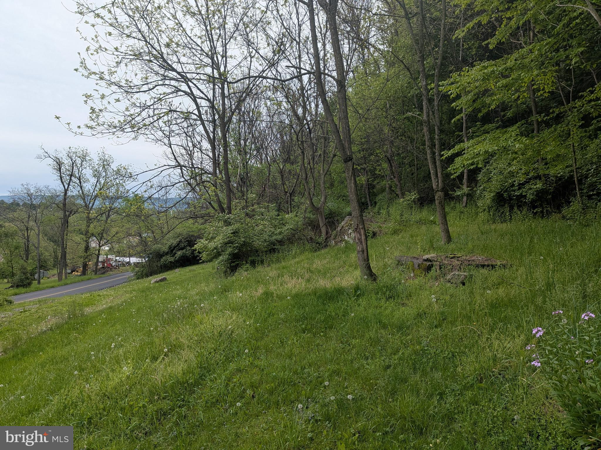 2418 Muddy Run Road Mifflintown, PA 17059 - Photo 12 of 37