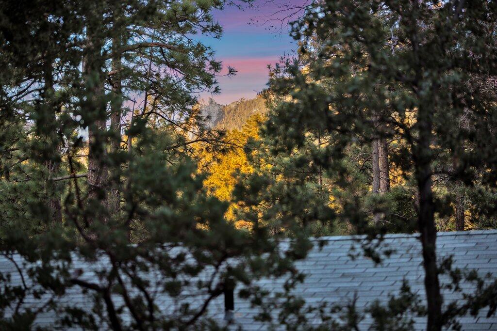 26785 Crestview Drive Idyllwild, CA 92549 - Photo 42 of 54 _7IV7906.jpg-SMALL