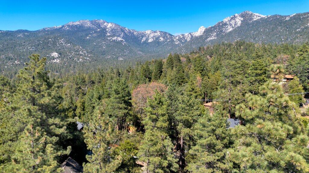26785 Crestview Drive Idyllwild, CA 92549 - Photo 54 of 54 DJI_0004.jpg-SMALL