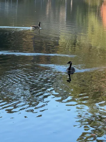 $69,000 | 3285 Lake Drive Northwest, Lawrenceville, GA 30044