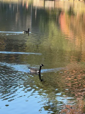 $69,000 | 3285 Lake Drive Northwest, Lawrenceville, GA 30044