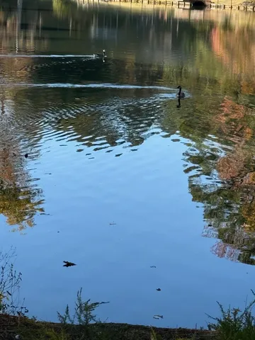 $69,000 | 3285 Lake Drive Northwest, Lawrenceville, GA 30044