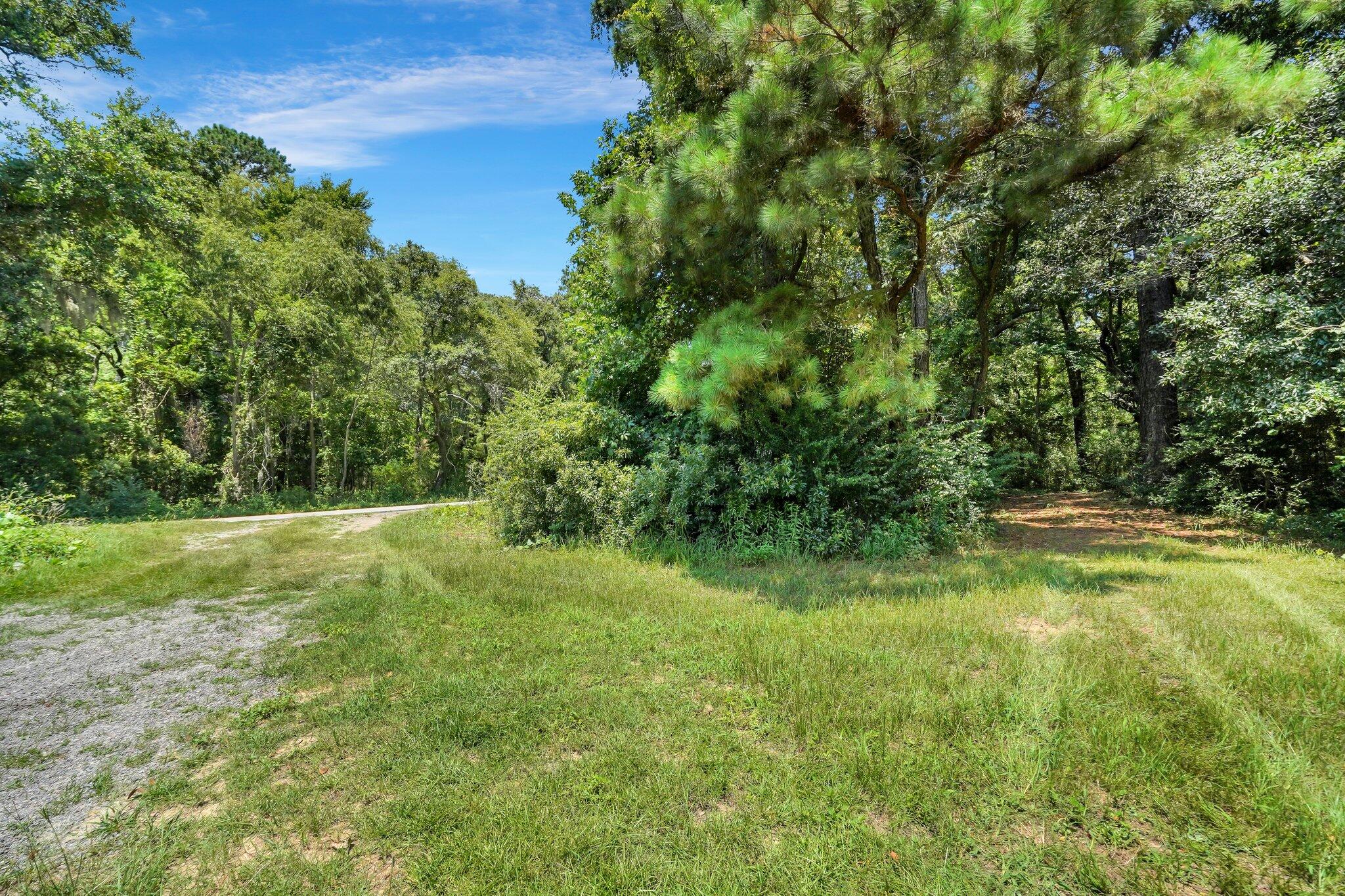 3953 River Road Johns Island, SC 29455 - Photo 4 of 59 55-web-or-mls-DSC04120