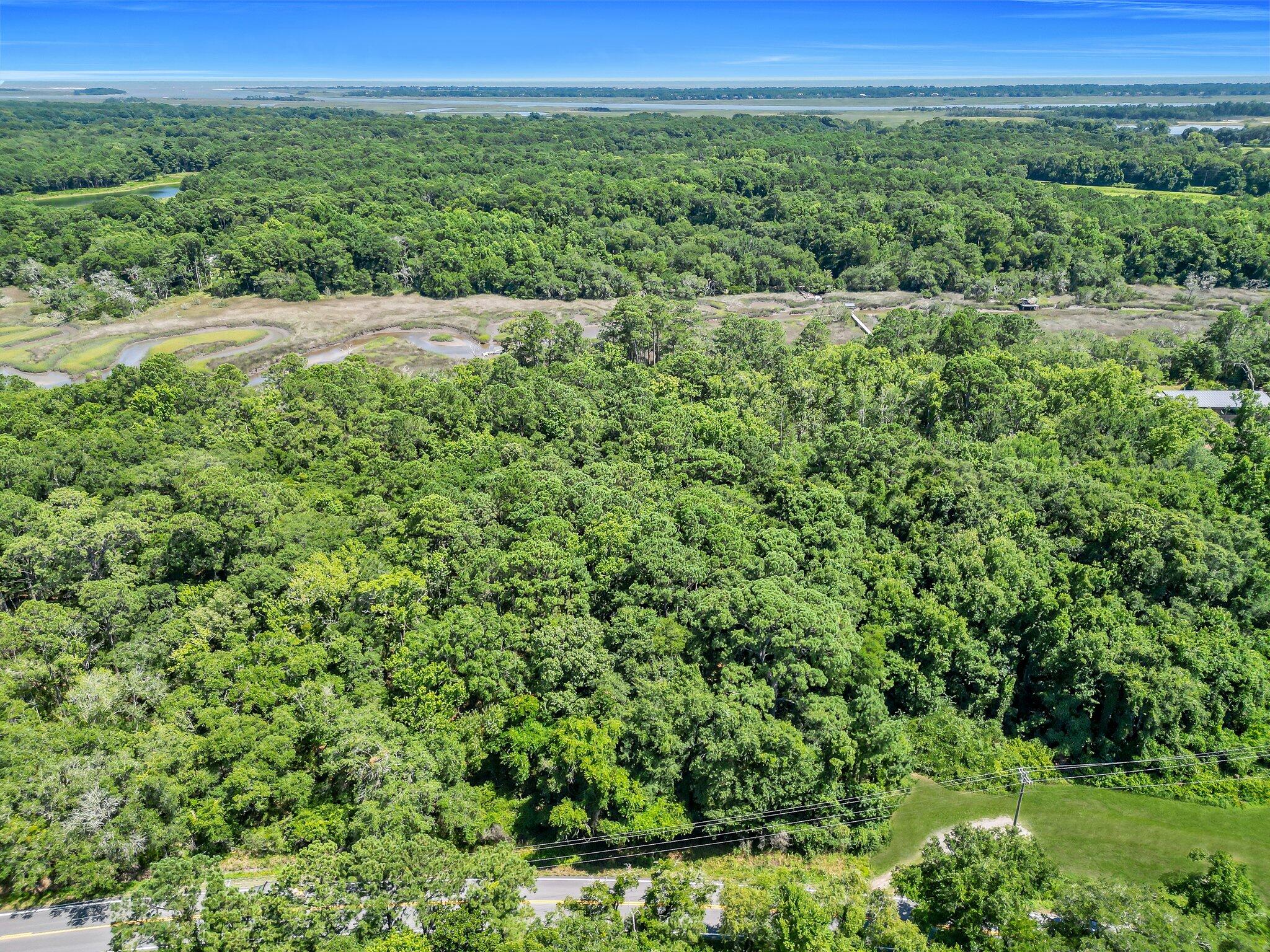 3953 River Road Johns Island, SC 29455 - Photo 54 of 59 79-web-or-mls-DJI_0142_1