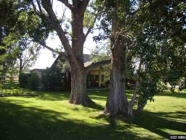 6050 South Allen Road Fallon, NV 89406 - Photo 1 of 2 a view of a trees in a yard