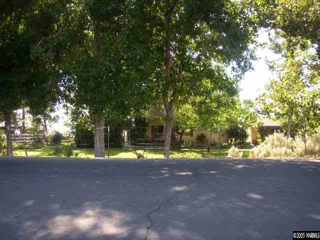 6050 South Allen Road Fallon, NV 89406 - Photo 2 of 2 a view of road and trees