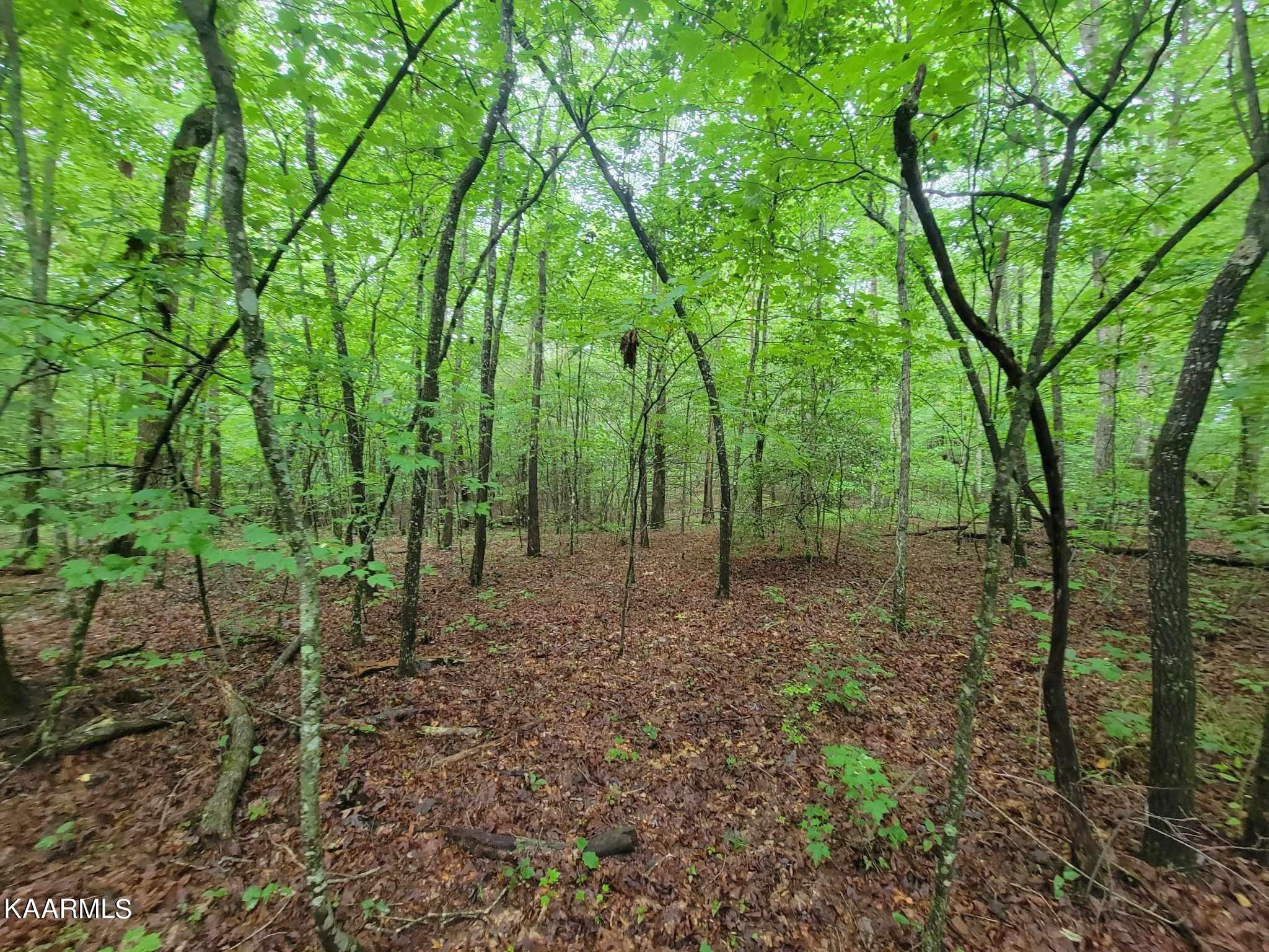 0 40 Model Farm Road Jamestown, TN 38556 - Photo 33 of 59