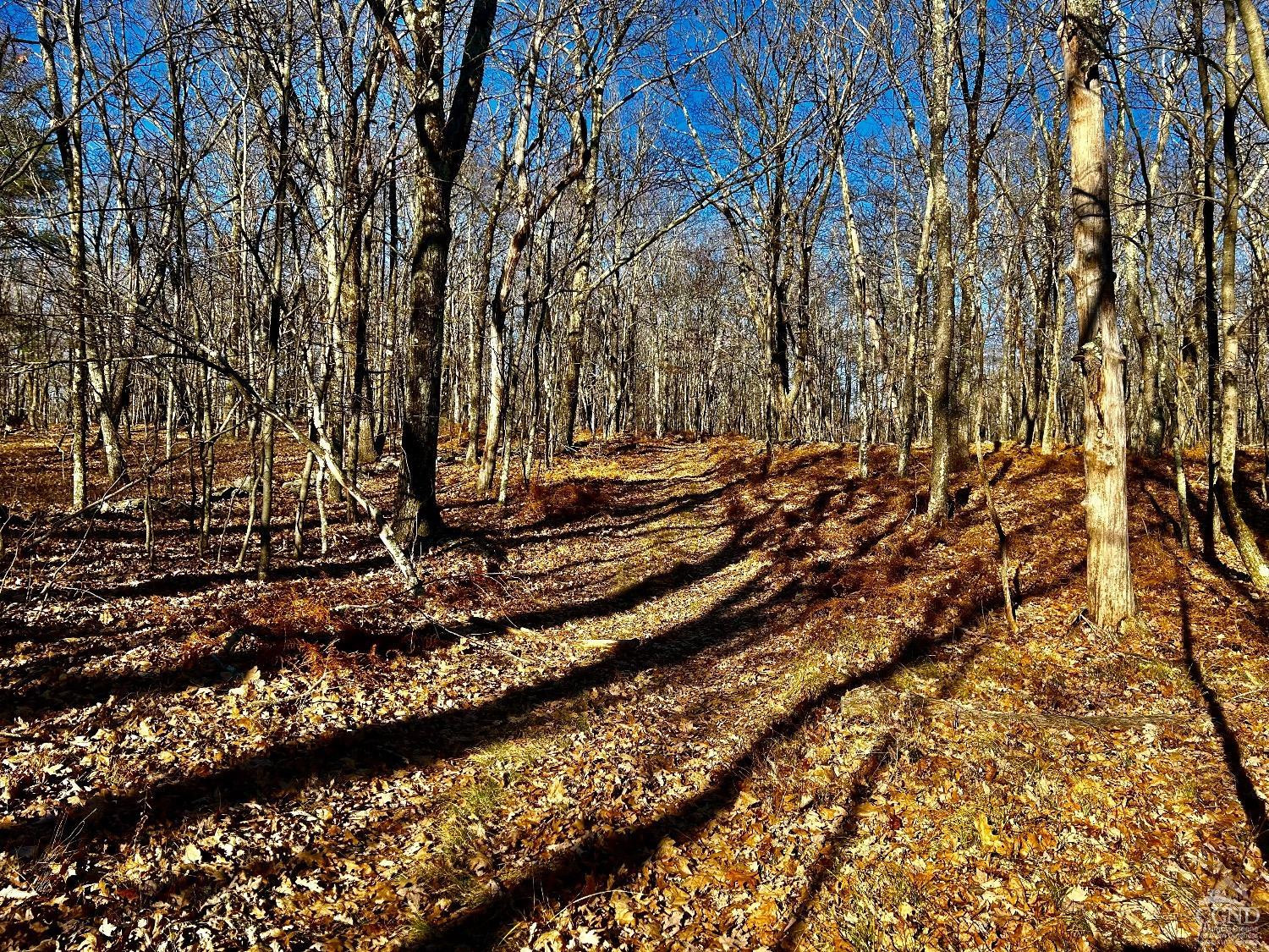 0 West Hill Road Austerlitz, NY 12017 - Photo 13 of 16 Photo 13
