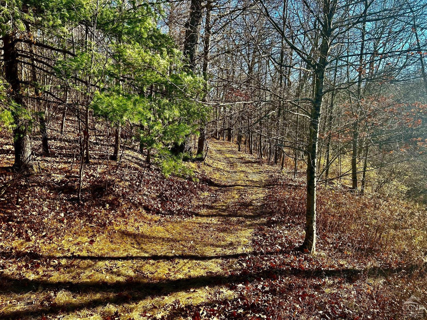 0 West Hill Road Austerlitz, NY 12017 - Photo 14 of 16 Photo 14