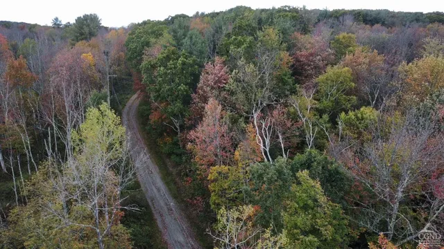 an aerial view of houses covered in trees