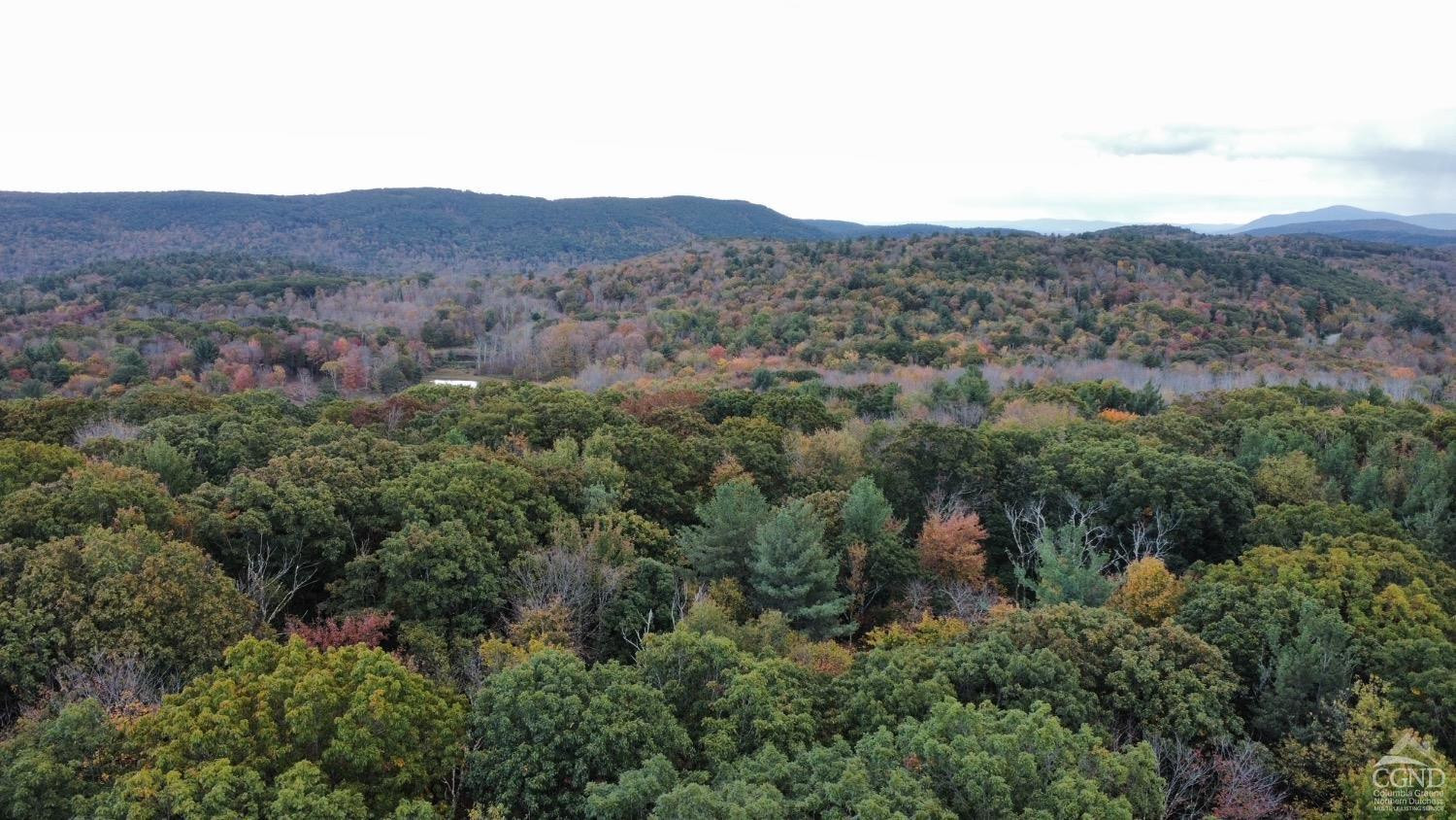 0 West Hill Road Austerlitz, NY 12017 - Photo 16 of 16 an aerial view of houses covered in trees