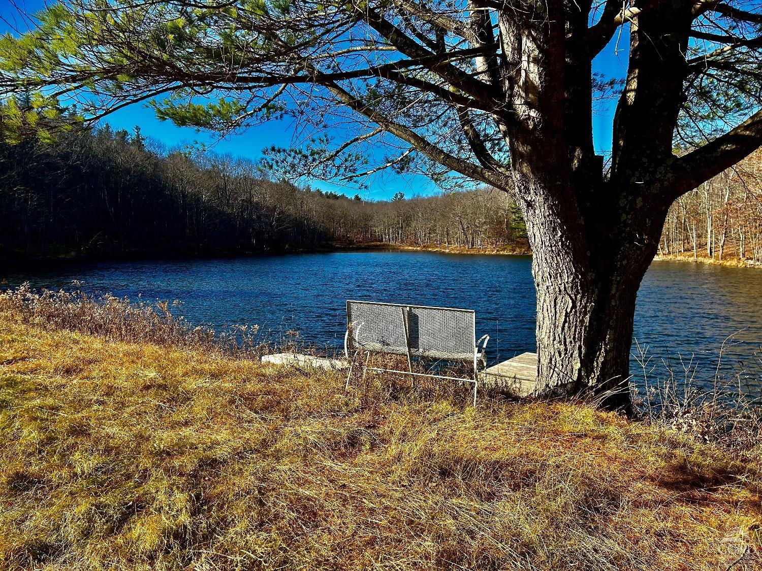 0 West Hill Road Austerlitz, NY 12017 - Photo 3 of 16 a view of a backyard with a tree