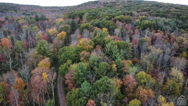 a backyard of a house with lots of trees
