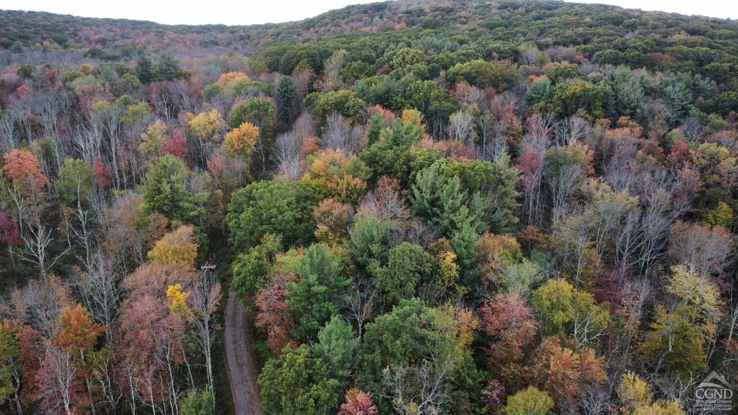 0 West Hill Road Austerlitz, NY 12017 - Photo 5 of 16 Photo 5