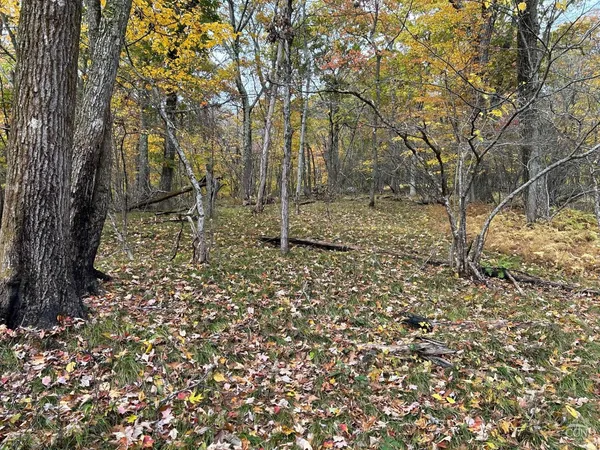 a view of a backyard of the house