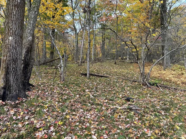 a view of a backyard of the house