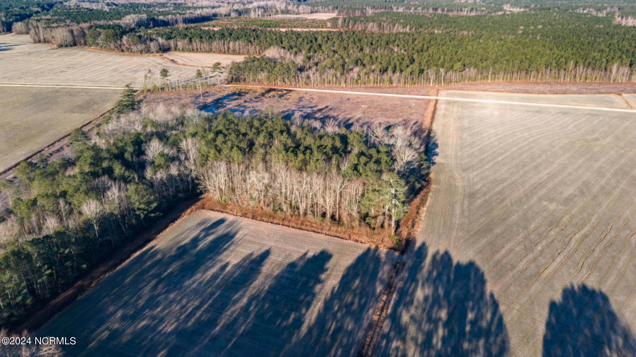 0 Smith Road Gates, NC 27937 - Photo 18 of 22 69 Acres Smith Rd-23