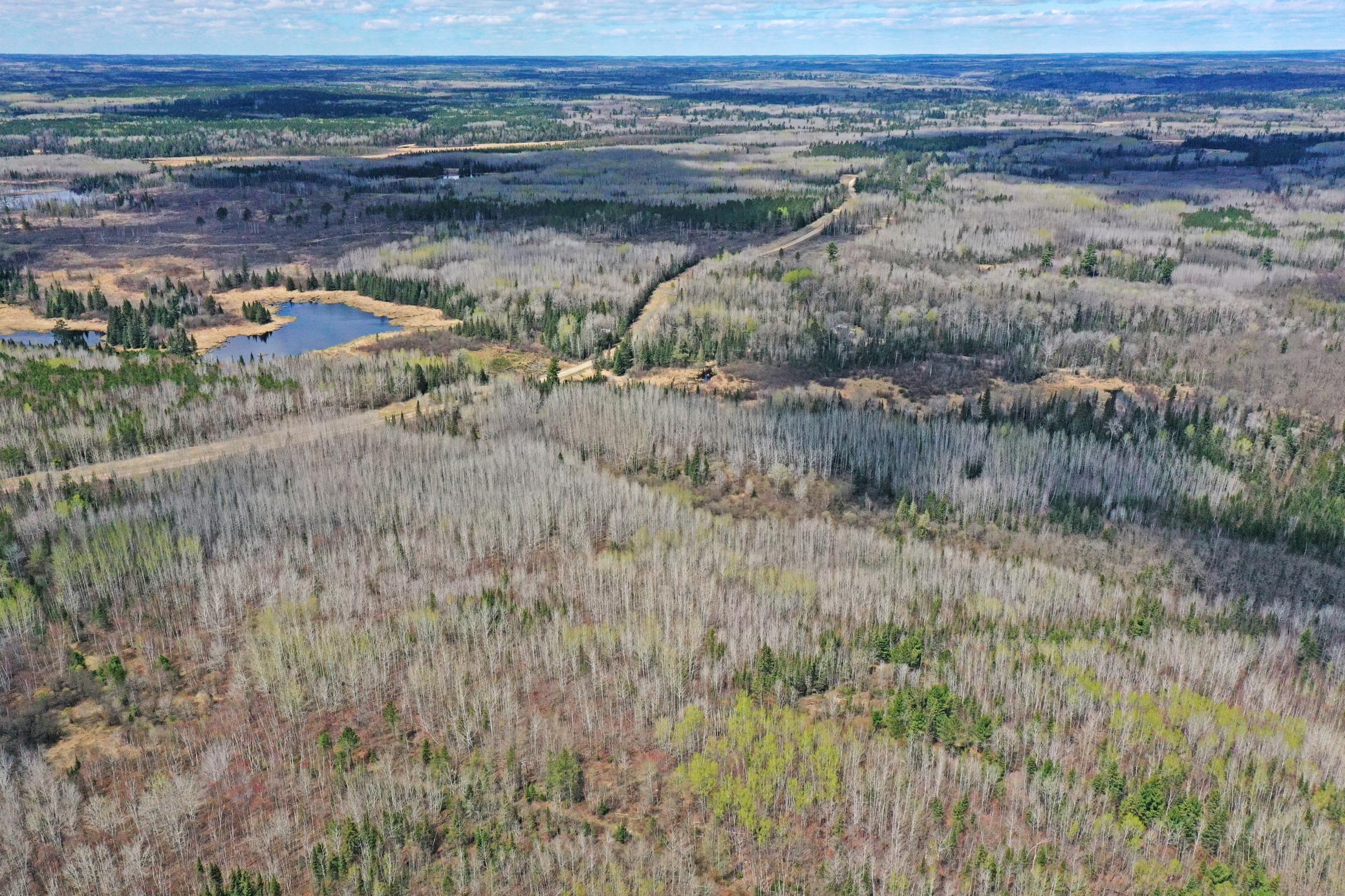 4268 Crane Lake Road Orr, MN 55771 - Photo 9 of 25