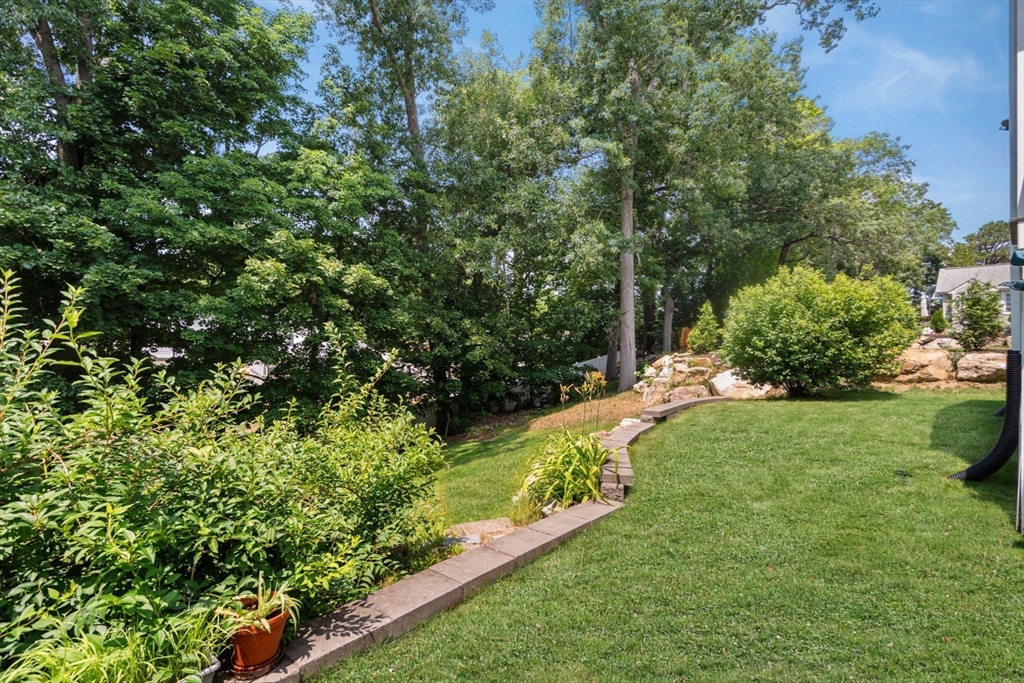 46 MacArthur Road Stoneham, MA 02180 - Photo 20 of 41 a view of a garden with a tree