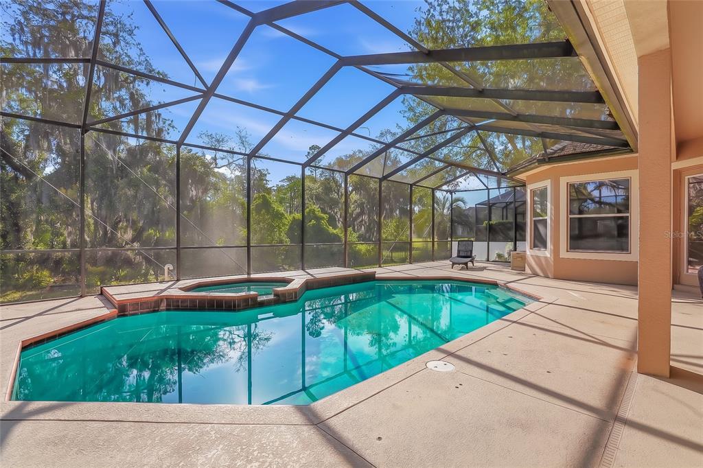11403 Biddeford Place New Port Richey, FL 34654 - Photo 52 of 78