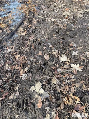 $42,750 | 300th Avenue, Sumner, IL 62466