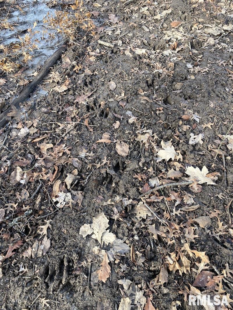 300th Avenue Sumner, IL 62466 - Photo 11 of 30