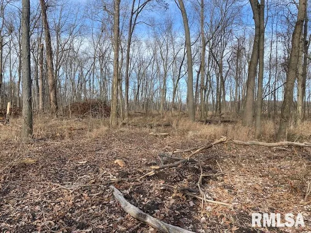 $53,000 | 300th Avenue, Sumner, IL 62466