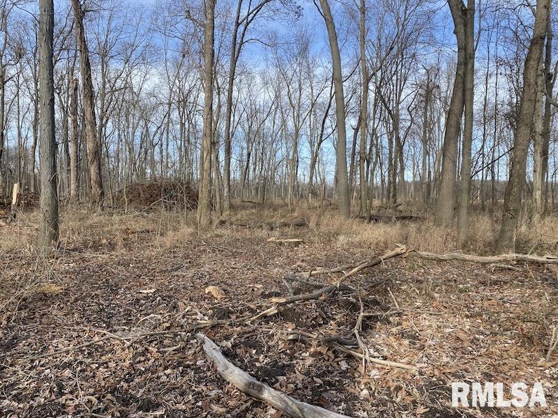 300th Avenue Sumner, IL 62466 - Photo 12 of 30