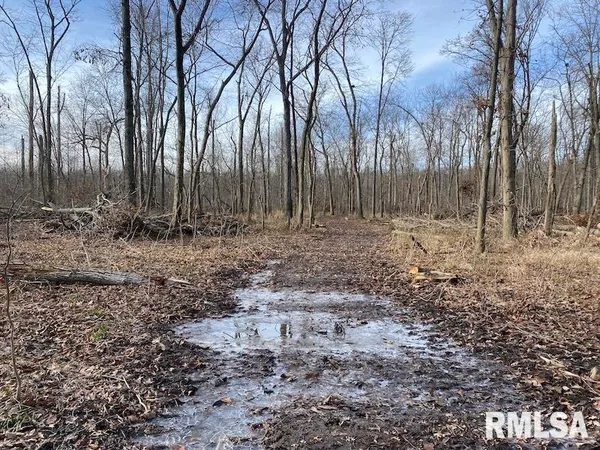 $42,750 | 300th Avenue, Sumner, IL 62466