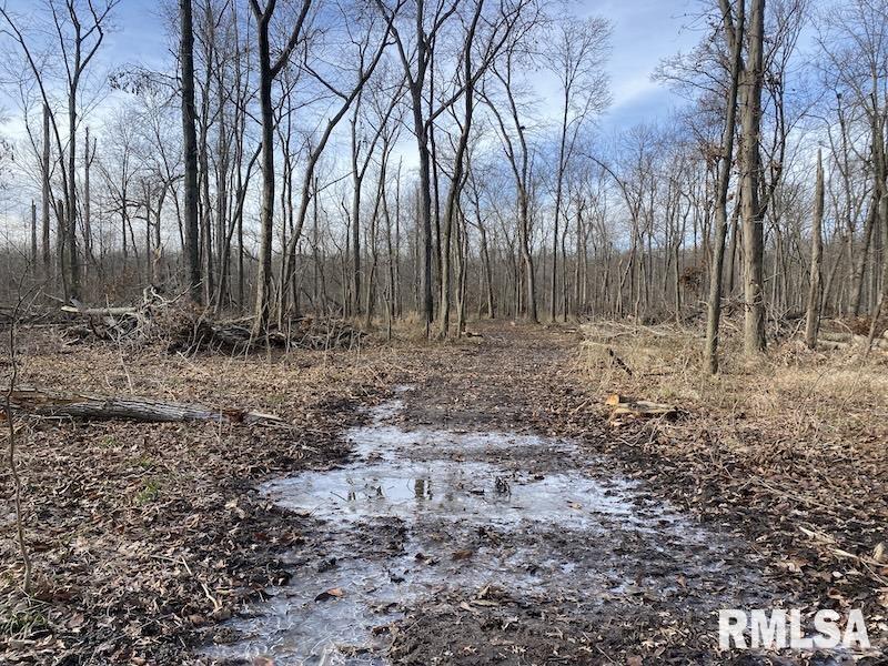 300th Avenue Sumner, IL 62466 - Photo 13 of 30