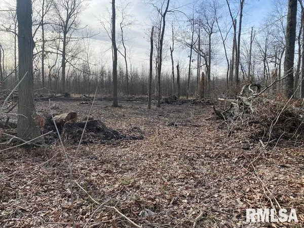 $42,750 | 300th Avenue, Sumner, IL 62466