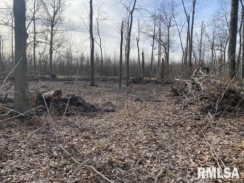 300th Avenue Sumner, IL 62466 - Photo 14 of 30