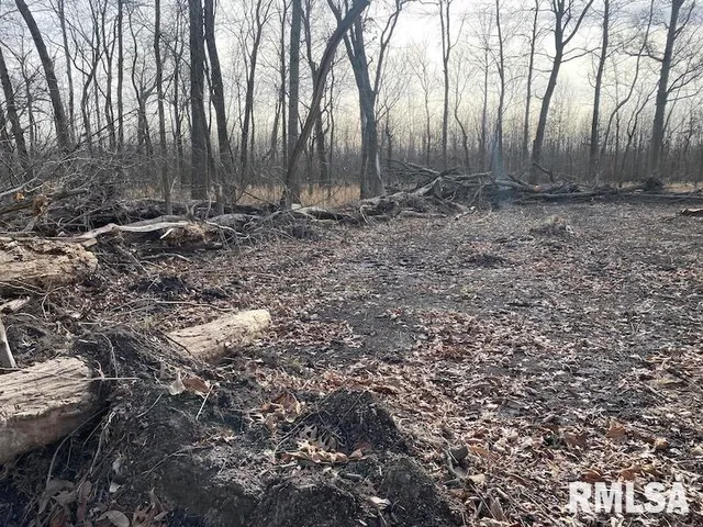 $53,000 | 300th Avenue, Sumner, IL 62466